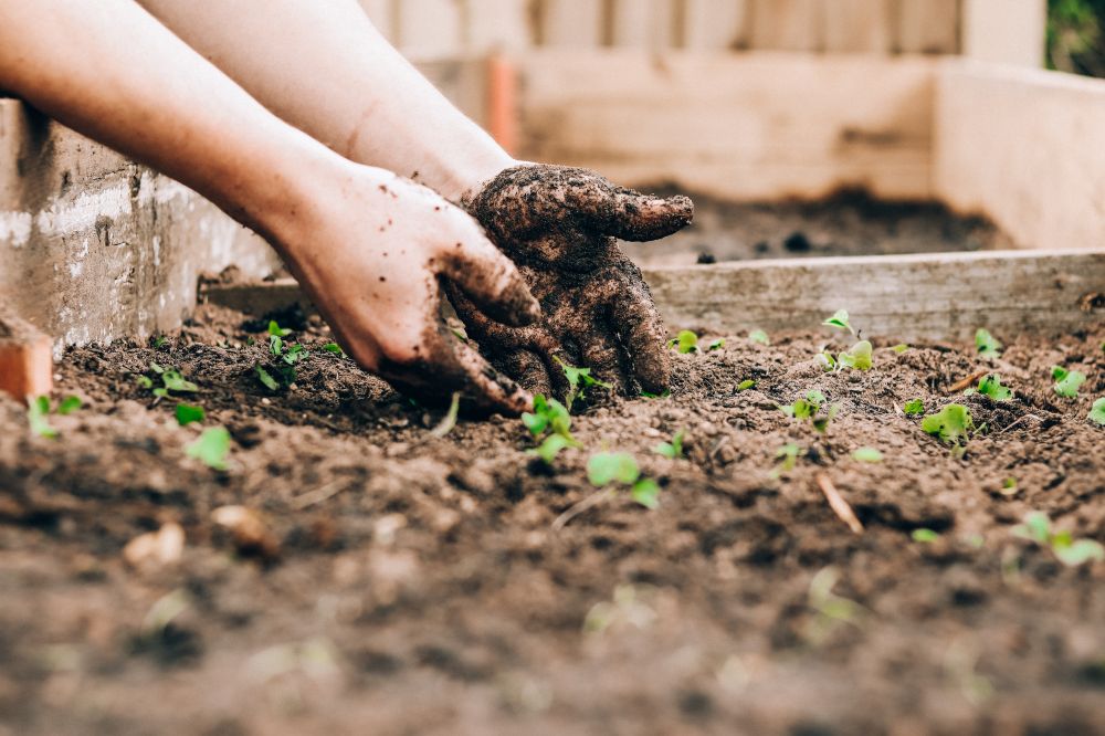 Pallkrage – en praktisk lösning för trädgården