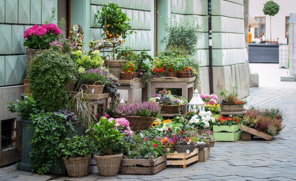 Blombud Åhus  så skapar du minnesvärda hälsningar med blommor